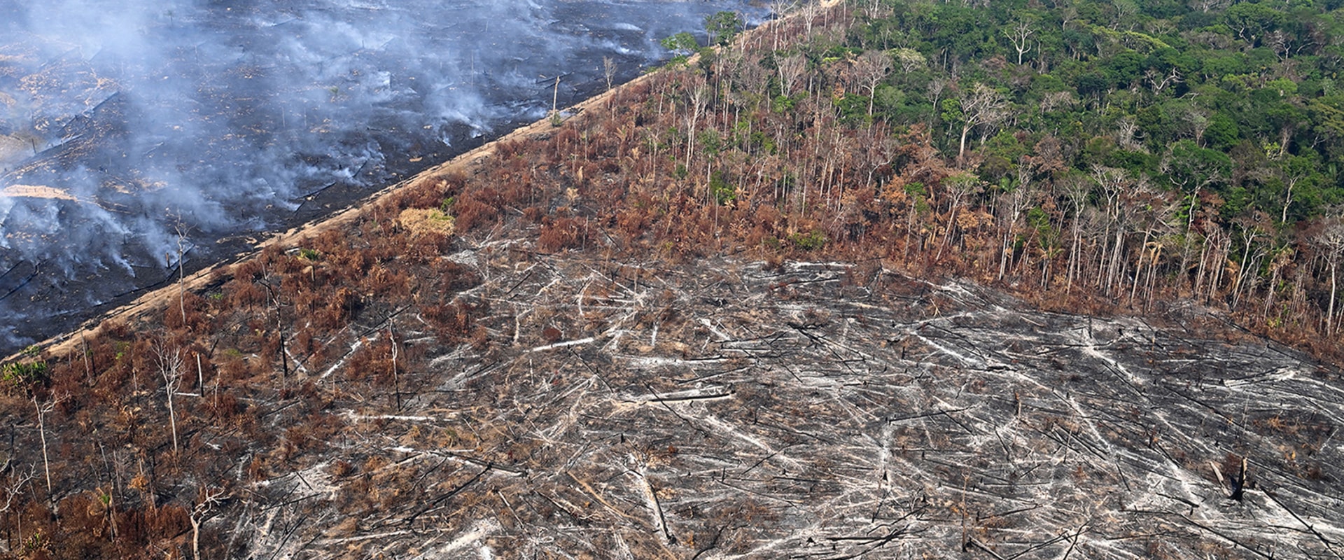 The Impact of Regulations on Agriculture and Forestry in Gulfport, MS