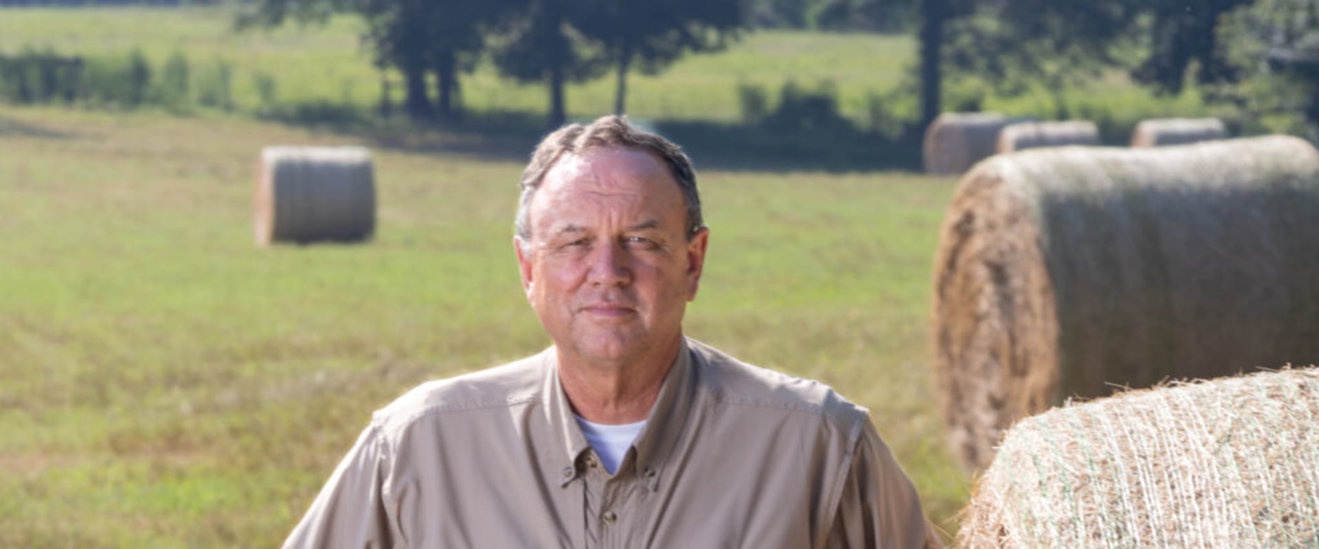 Effective Pest Control Methods for Agriculture and Forestry in Gulfport, MS