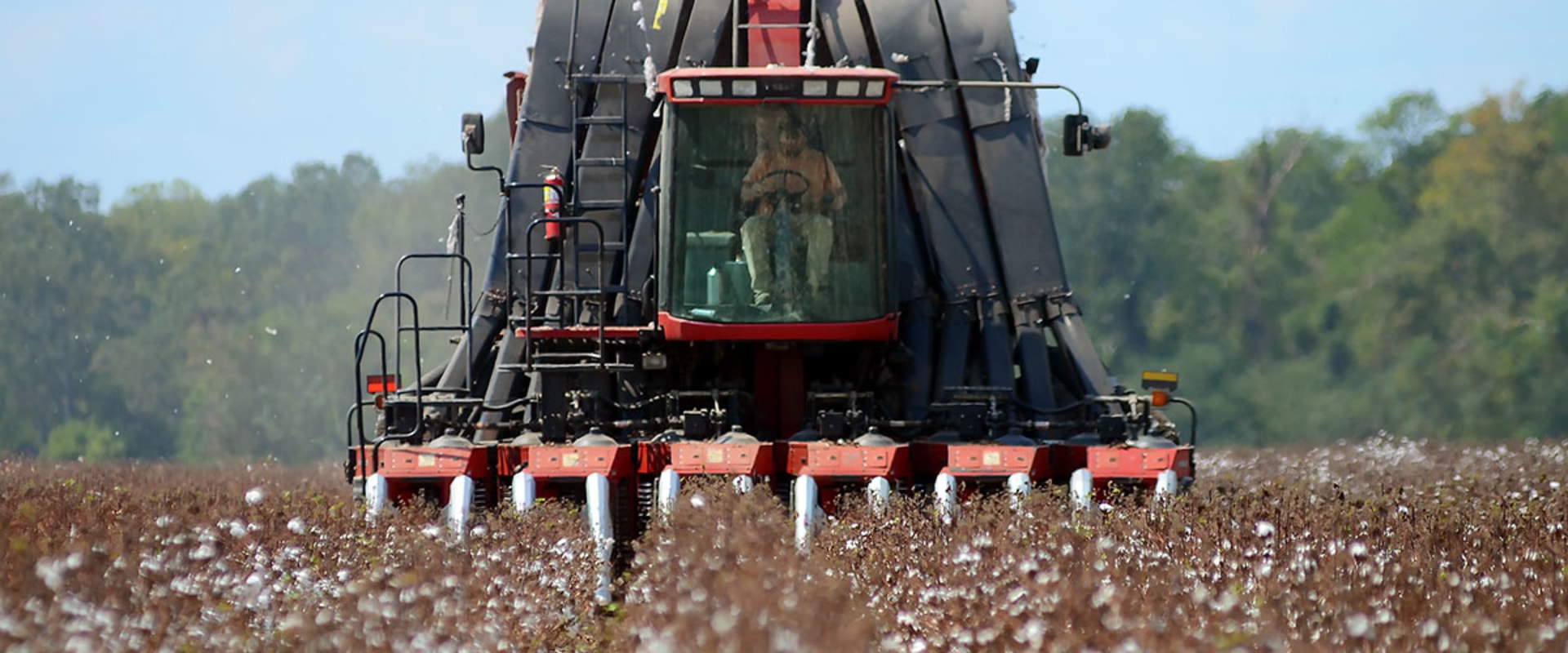 The Evolution of Agriculture and Forestry in Gulfport, MS
