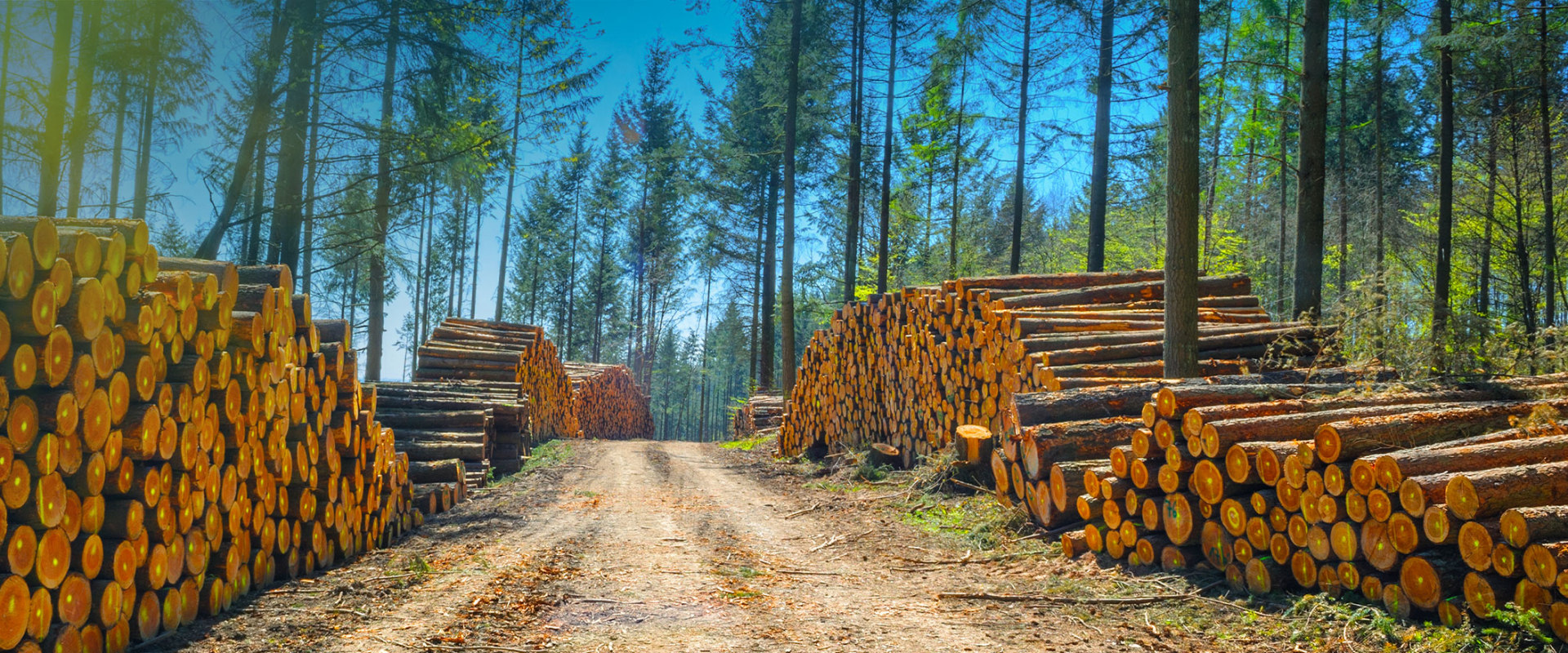 The Technological Revolution in Agriculture and Forestry in Gulfport, MS