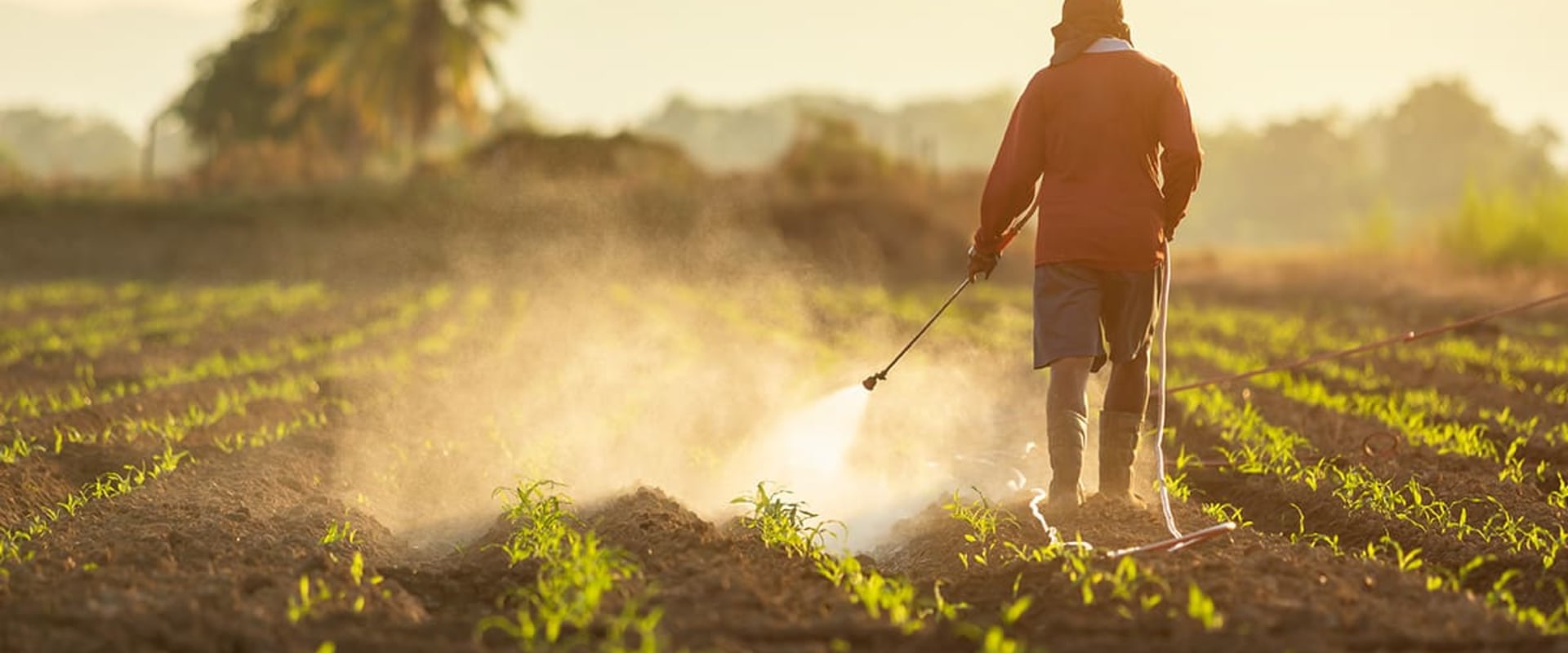 The Impact of Pesticides and Fertilizers on the Environment in Gulfport, MS: An Expert's Perspective