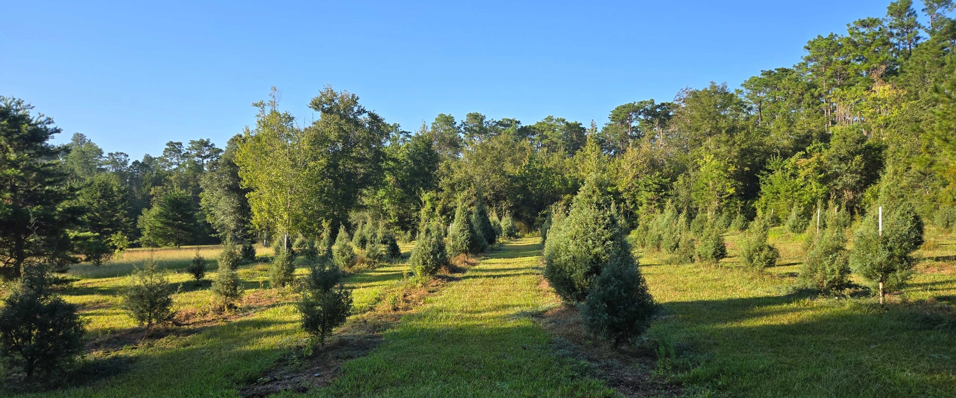 The Impact of Agriculture and Forestry in Gulfport, MS
