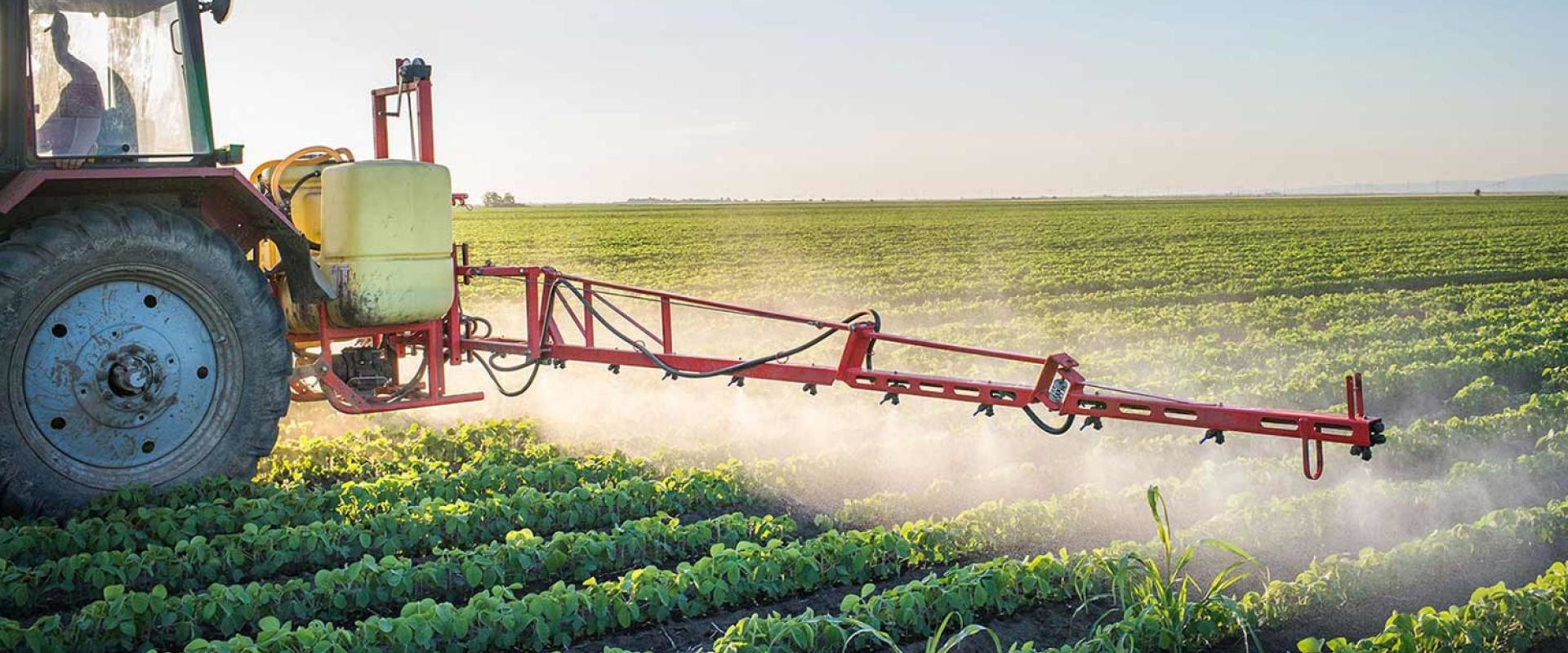 The Thriving Agriculture and Forestry Industry in Gulfport, MS