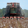 The Evolution of Agriculture and Forestry in Gulfport, MS
