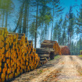 The Technological Revolution in Agriculture and Forestry in Gulfport, MS