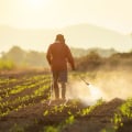 The Impact of Pesticides and Fertilizers on the Environment in Gulfport, MS: An Expert's Perspective