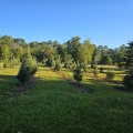 The Impact of Agriculture and Forestry in Gulfport, MS