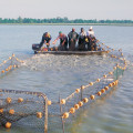 The Thriving Agriculture and Forestry Industries in Gulfport, MS