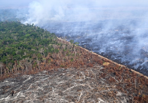 The Impact of Regulations on Agriculture and Forestry in Gulfport, MS