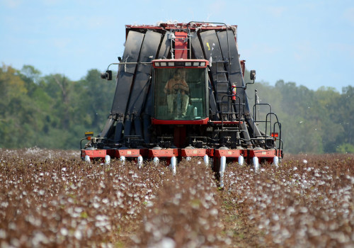 The Evolution of Agriculture and Forestry in Gulfport, MS