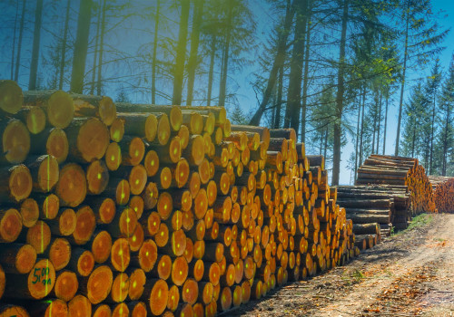 The Technological Revolution in Agriculture and Forestry in Gulfport, MS