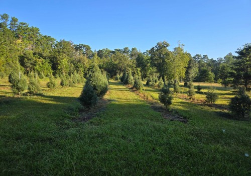 Sustainable Agriculture and Forestry in Gulfport, MS: A Comprehensive Guide