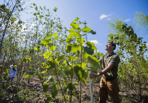 Exploring the Educational and Training Opportunities for Agriculture and Forestry in Gulfport, MS